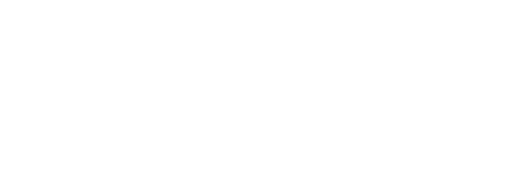 Furlotti Group